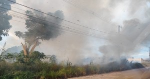Foto galeria