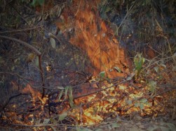 Foto capa