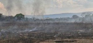 Foto capa