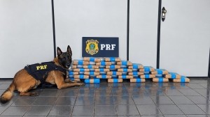 Foto capa
