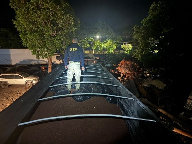 Capa da Página