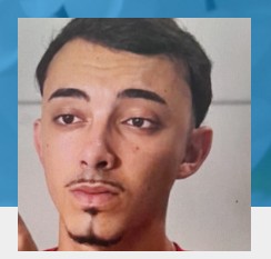 Capa da Página